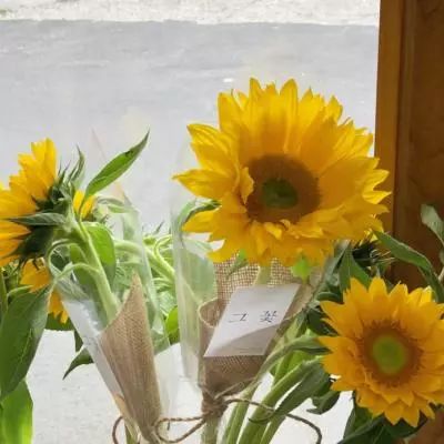 小小屠龙uc版安卓下载